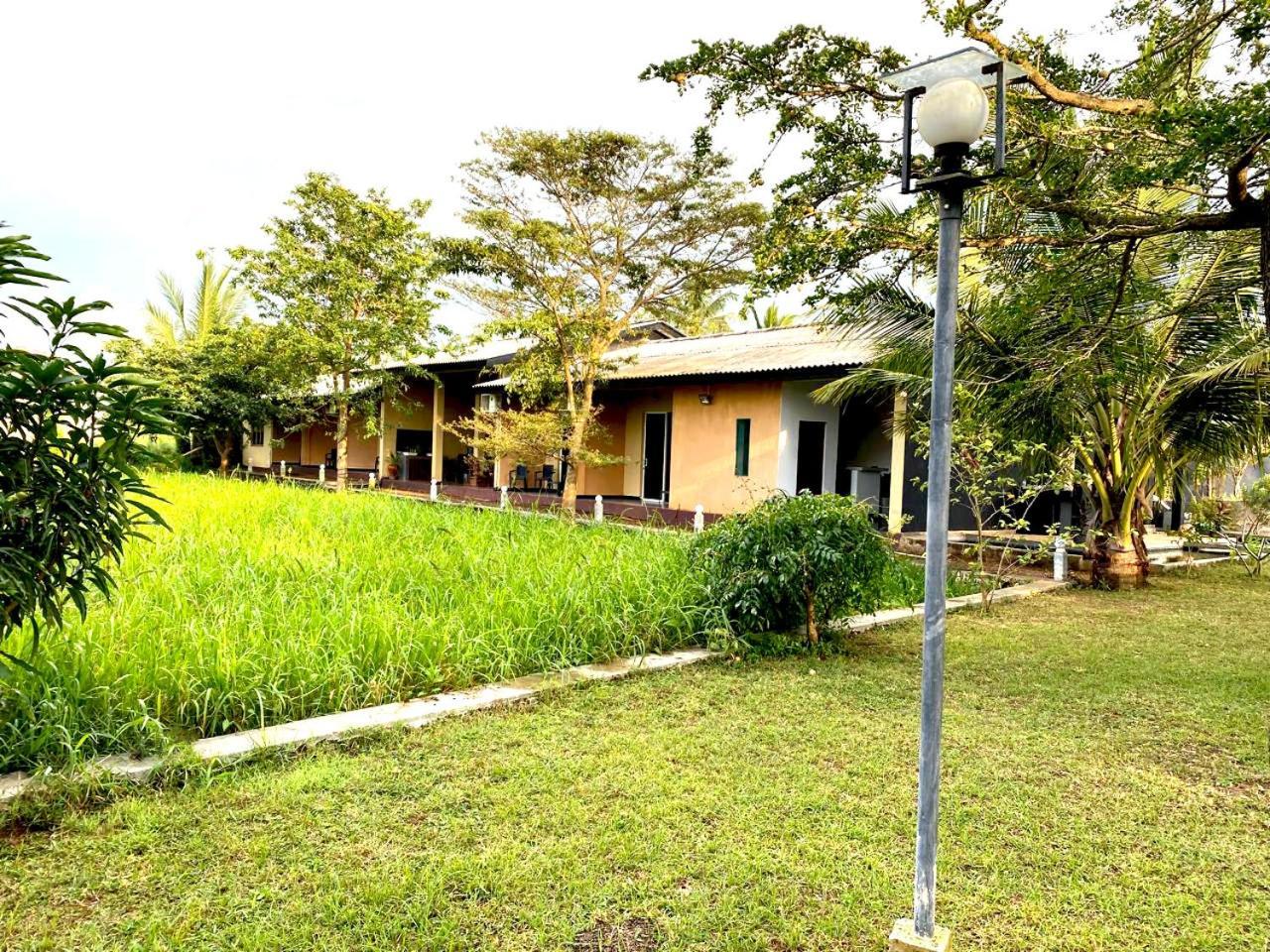 אנוראדפורה Athyantha Resort מראה חיצוני תמונה