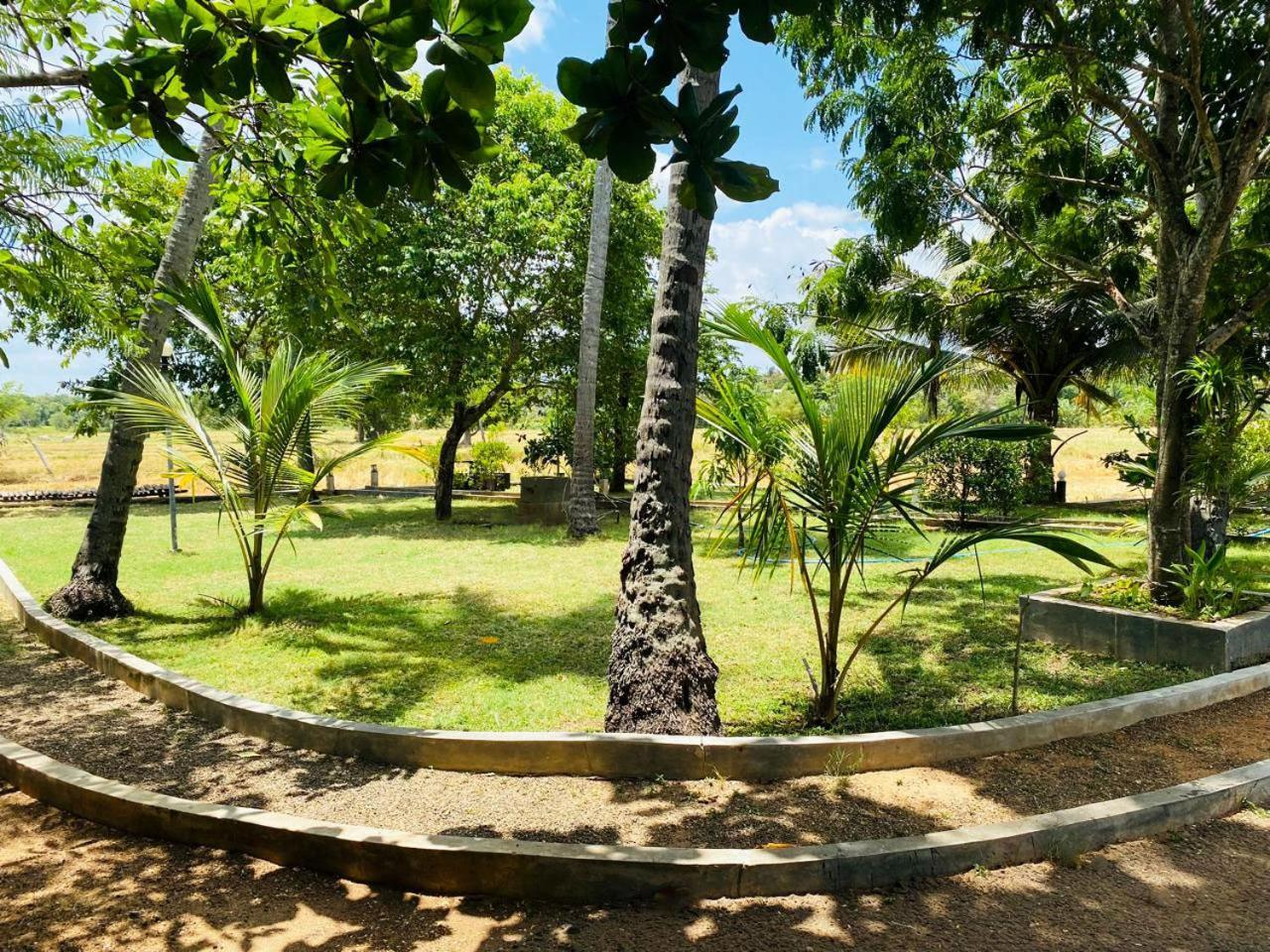אנוראדפורה Athyantha Resort מראה חיצוני תמונה